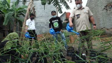 Melalui Program Kurfa, Pupuk Kujang Dorong IRT Berpenghasilan dari Lahan Sempit