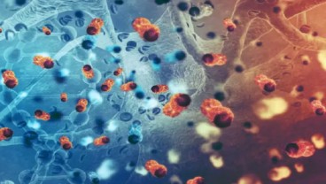 6 Gejala Norovirus yang Harus Diwaspadai 