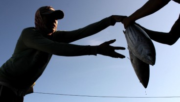 Produksi Diprediksi Naik, KKP: Stok Ikan Cukup Selama Ramadan 2022
