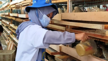 Jelajah Petani Milenial Juara: DKPP Jabar Targetkan Perluasan Komoditas di 2022