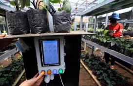 Jelajah Petani Milenial Juara: Intip Teknologi Pertanian yang Diterapkan Para Peserta