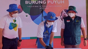 Jelajah Petani Milenial Juara: Yang Perlu Kamu Ketahui Soal Offtaker