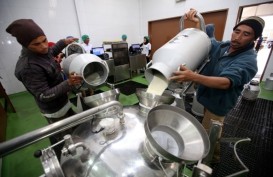 Suplai Bahan Baku Susu Domestik Ditarget Jadi 40 Persen