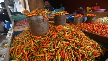 Harga Cabai Jatim Terus Terkerek Tingginya Permintaan