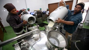 Tingkatkan Produktivitas Susu, Gapmmi: Perlu Sinergi Kementerian