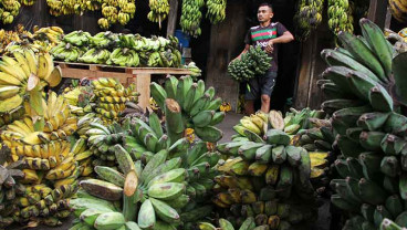 Penjualan Pisang di Makassar Meningkat Dua Kali Lipat Saat Ramadan