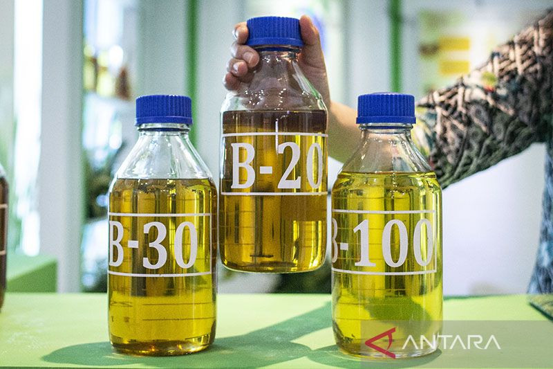 Beragam Potensi Siap Penuhi Target Bioenergi