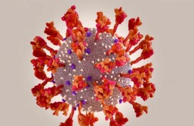 Suspek Virus Corona Varian XJ Ditemukan, Kasus Covid-19 di Thailand Terus Naik