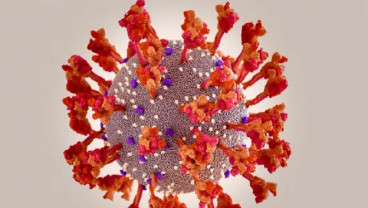 Suspek Virus Corona Varian XJ Ditemukan, Kasus Covid-19 di Thailand Terus Naik