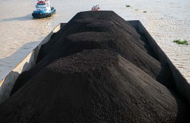 Gasifikasi Batu Bara Dinilai Tidak Feasible, Ini Alasannya
