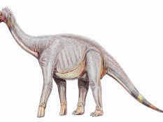 Akhirnya Ditemukan, Fosil Dinosaurus yang Dimusnahkan Asteroid Puluhan Juta Tahun Lalu