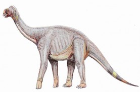 Akhirnya Ditemukan, Fosil Dinosaurus yang Dimusnahkan…