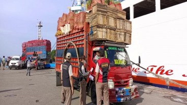 Produk Pertanian Masuk Balikpapan Capai 311 Ton, Balai Karantina Pastikan Aman