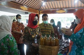 Jamu Bakal Jadi Warisan Budaya Tak Benda Unesco