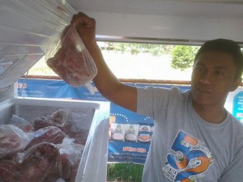 Bulog Targetkan 36.000 Ton Daging Kerbau Impor hingga Lebaran