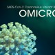 Studi: Omicron Lebih Berisiko Sebabkan Infeksi Pernapasan pada Anak-anak