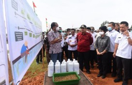 Petani di Lahan Gambut Banyuasin Kembangkan Mina Padi