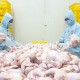 Persiapan Opor Ayam Lebaran, Analis Jagokan Saham Emiten Unggas JPFA dan WMUU