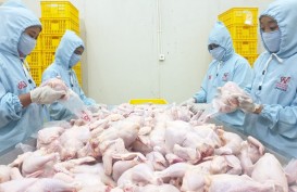 Persiapan Opor Ayam Lebaran, Analis Jagokan Saham Emiten Unggas JPFA dan WMUU