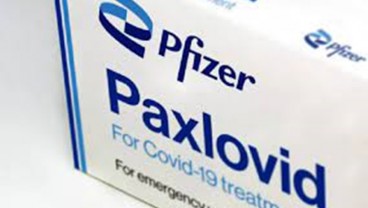 WHO Rekomendasikan Obat Paxlovid untuk Pasien Covid Gejala Ringan Hingga Sedang