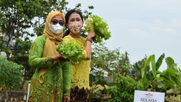 Wanita Tani Ikut Berperan dalam Produksi Benih Unggulan Ewindo