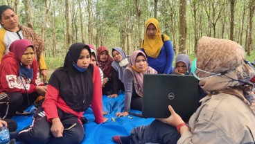 Wanita Tani Hutan Naikkan Pendapatan Keluarga 30 Persen