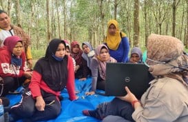 Wanita Tani Hutan Naikkan Pendapatan Keluarga 30 Persen