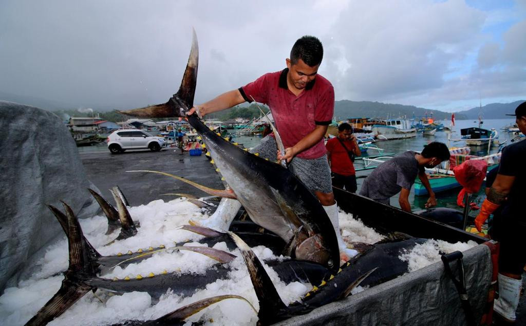Mengukur Akurasi Kebijakan Penangkapan Ikan Terukur