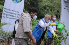 Peringati Hari Bumi, PLN Tanam 1.800 Pohon di Lokasi…
