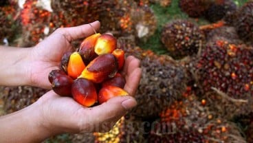 Harga Sawit Anjlok Gila-gilaan, Ini 5 Perintah Gubernur Riau