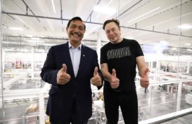 Luhut dan Bos Tesla Elon Musk Diskusi Sekitar 1 Jam, Bahas Apa Saja?