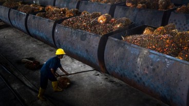 Apkasindo Sumbar Minta Pemerintah Tetapkan Patokan Harga Sawit Perkebunan Rakyat