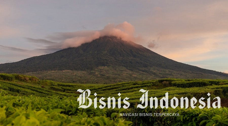 Mendengar Suara dari Merangin, Belajar Mengelola Lahan