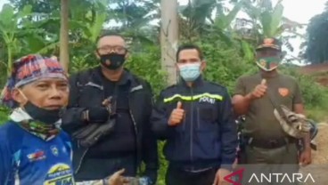 Pemudik Tersesat di Hutan Karawang setelah Mengikuti Google Maps