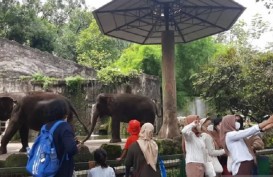 Daftar Objek Wisata di Jakarta yang Bisa Dikunjungi saat Libur Lebaran, Catat Jadwalnya!