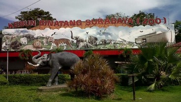 Libur Lebaran, Kebun Binatang Surabaya Buka Dua Wahana Baru