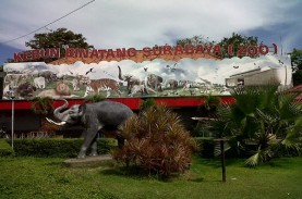 Libur Lebaran, Kebun Binatang Surabaya Buka Dua Wahana…