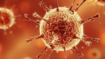 Ilmuwan Sebut 10 Ribu Virus Potensi Timbulkan Pandemi Seperti Covid-19