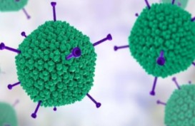 AS Selidiki 30 Kasus Hepatitis Akut Misterius pada Anak-Anak