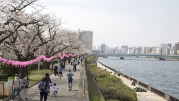 Jepang Buka Akses Masuk Turis Asing Secepatnya pada Juni 2022