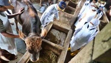 Kasus Penyakit Ternak, 4 Pasar Hewan di Jatim Ditutup