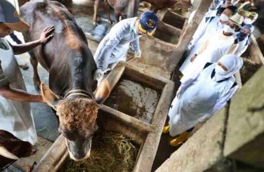 Kasus Penyakit Ternak, 4 Pasar Hewan di Jatim Ditutup