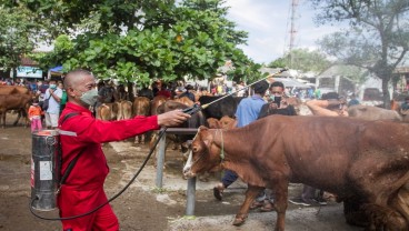 Penanganan Penyakit Ternak Jatim, Ini Kata Wagub Emil