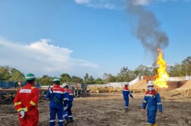 SKK Migas Tinjau Temuan Migas Baru di Sumatera Selatan