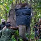 BKSDA Sumsel Antisipasi Konflik Gajah Liar dan Manusia di OKI