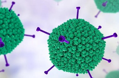 Hepatitis Akut Mewabah, 4 Cara Adenovirus Masuk ke Tubuh Manusia
