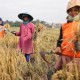 Sukses Diterapkan, Sawah dengan Pendekatan IP400 di Kota Bandung Surplus Panen