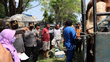 Sejumlah Truk Pengangkut Hewan di Demak Diperiksa Aparat Gabungan 