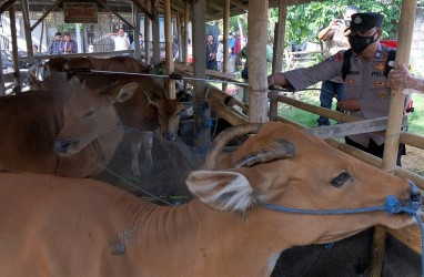 Lalu Lintas Hewan Ternak dari Pulau Lombok Diperketat