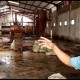 Bau Busuk di Balik Perseteruan Wakil Wali Kota Medan vs Bos Pabrik Bulu Ayam